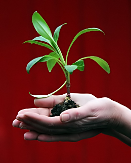 Galilee House Of Studies